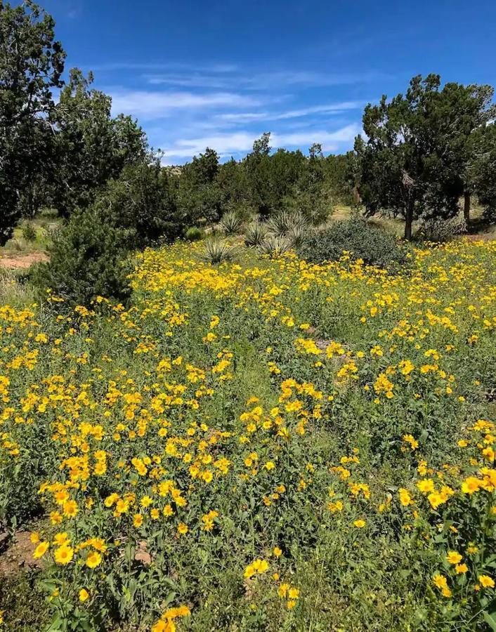 Pet Friendly Pinon Heaven Bed and Breakfast Canada de los Alamos Exteriör bild